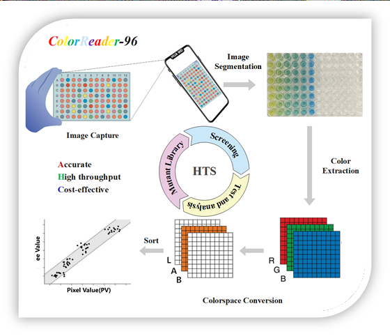 Enzymatic reaction detection cover